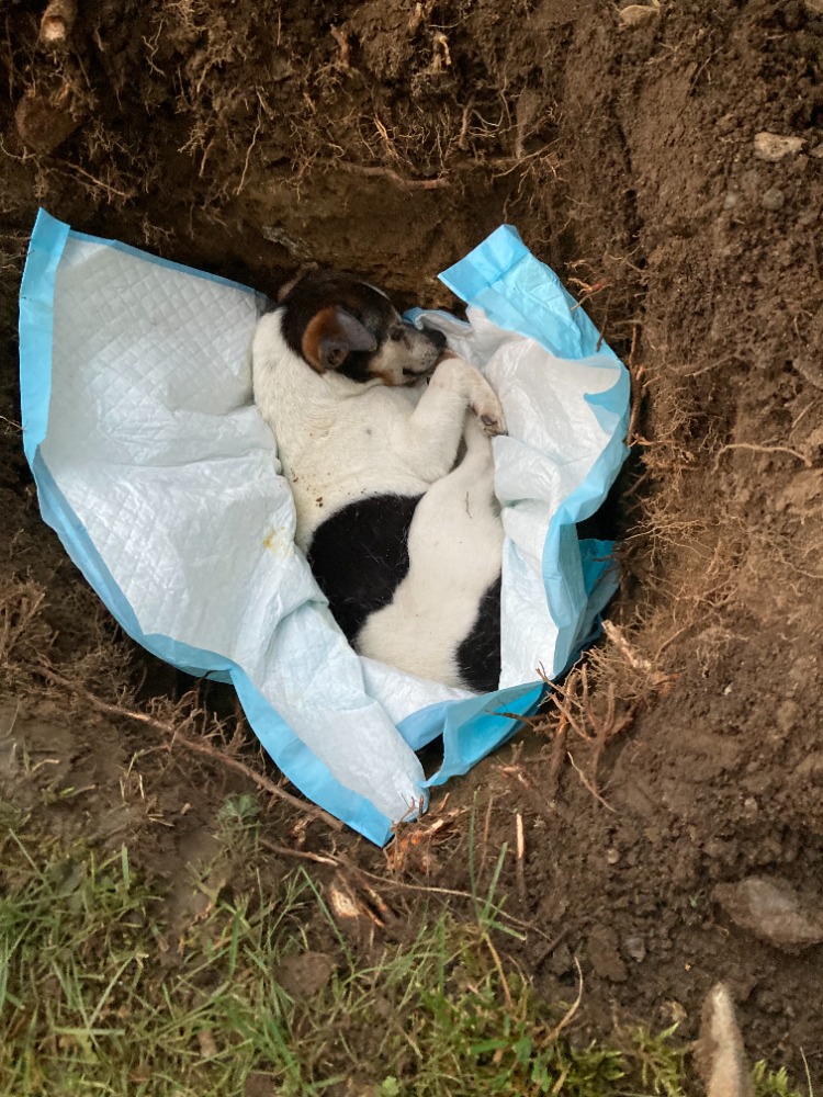 Poslední fotografie Mimi 21.6.2023